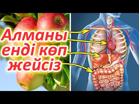 Видео: Күн сайын 2 Алма жеңіз, 6 түрлі ауруға шипа болады, Алма пайдасы, Алма жемісі