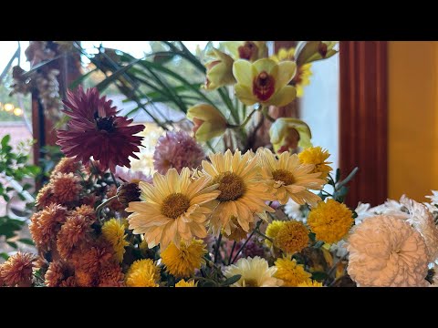 Видео: Осень на даче . Обзор подоконников с цветами и перцами. Готовлю соусы. Укореняю хризантемы. 