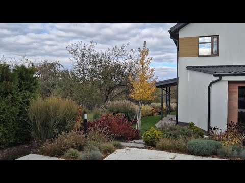 Видео: Огляд видів/сортів рослин, які ростуть на ділянці. Кінець жовтня 🍁 #сад