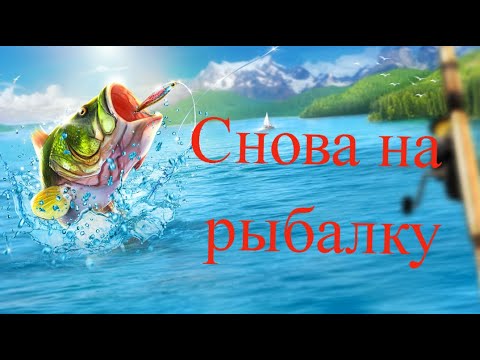 Видео: Снова на рыбалку FC