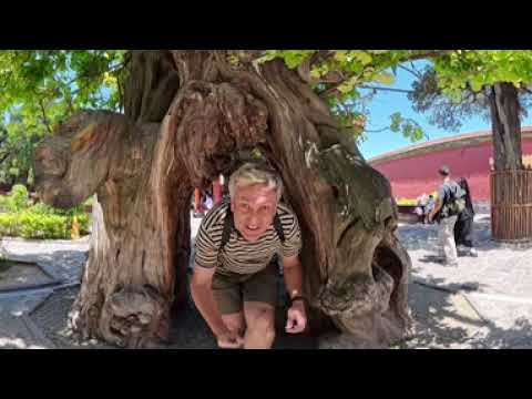 Видео: Запретный город. Китай 360°
