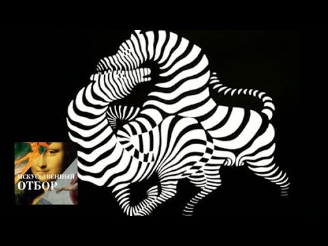 Видео: Искусственный отбор. Эфир от 03.02.2015 / Телеканал Культура