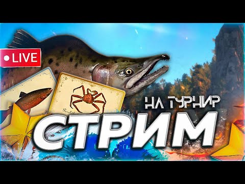 Видео: 🍁 РАЗМИНКА 🍂 МОРСКОЙ ТРОЛЛИНГ ГИГАДЖИГ ПАЛИЯ И ЯМА Русская Рыбалка 3aekkk РР4