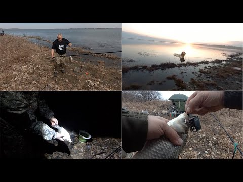 Видео: БЕШЕНЫЙ ЖОР КАРАСЯ ОТКРЫТИЕ  21 04 2025