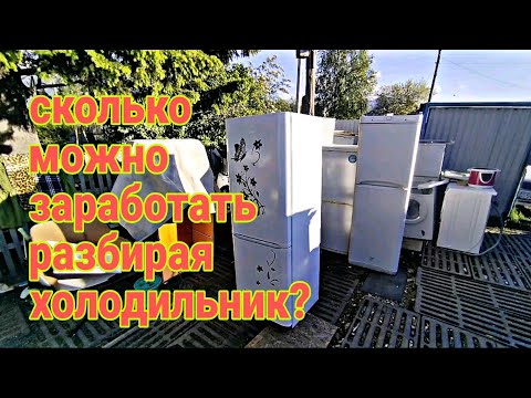 Видео: как правильно разобрать холодильник Бирюса, сколько в нем металла? #медь
