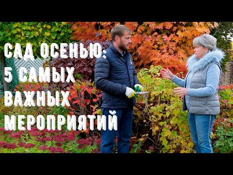 Видео: Осенние работы в саду. Подготовка огорода к зиме. Основные работы на участке осенью