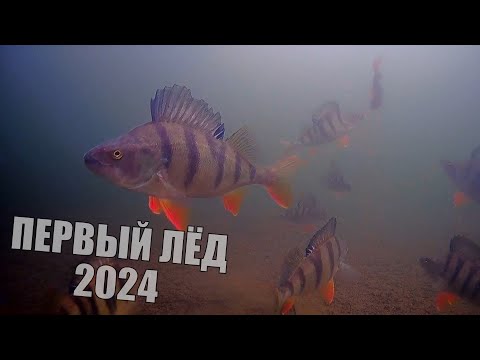 Видео: ПЕРВЫЙ ЛЕД - наловил рыбы НЕ УВЕЗТИ! Поклевки КРУПНЯКА на подводную камеру!