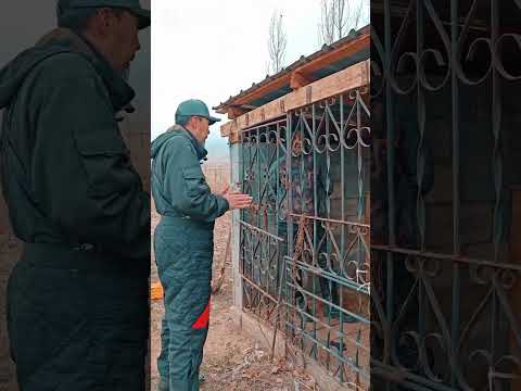 Видео: Безконтрольный Алабай.