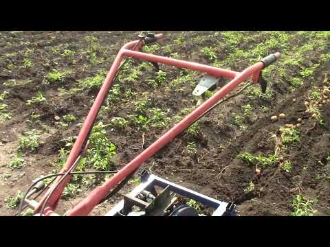 Видео: Грохотная двух эксценриковая картофелекопалка в работе.