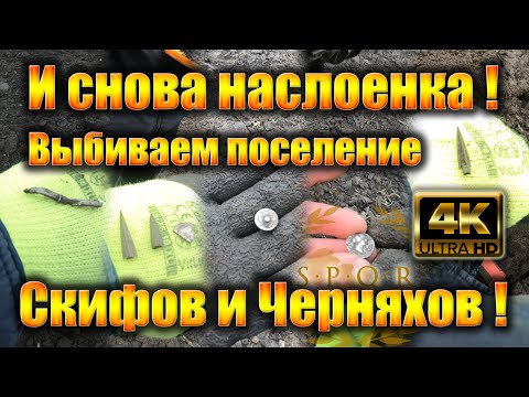 Видео: И снова наслоенка! Выбиваем большое поселение Скифов и Черняхов!