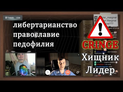 Видео: Халайты очередного кринжового гостя на стриме у Маргинала | Типичный либертарианец