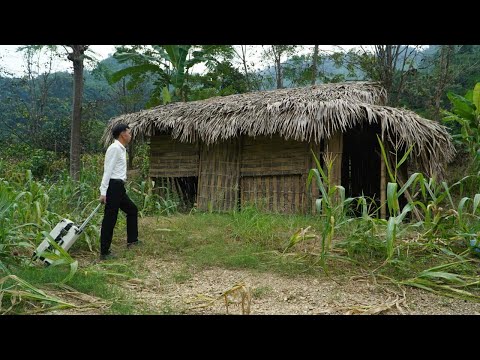 Видео: Обанкротившийся генеральный директор сдаётся и уезжает из города, чтобы вернуться в родной город и о