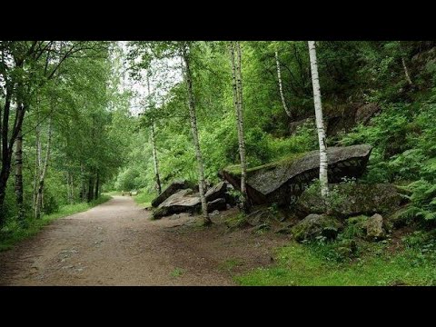 Видео: Белокуриха. Терренкур "Старая мельница"(видовой фильм) HD.