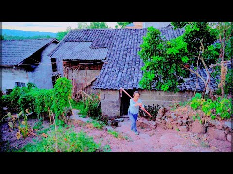 Видео: Забытая деревня в Китае во время урожая риса | Сырая страновая жизнь в Южной Азии