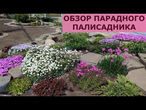 Видео: ОБЗОР ПАРАДНОГО ПАЛИСАДНИКА.