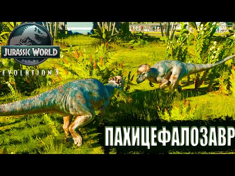 Видео: ВЫВЕЛ ЛИСТРОЗАВРА И ПАХИЦЕФАЛОЗАВРА В Jurassic World Evolution 3 (#10)