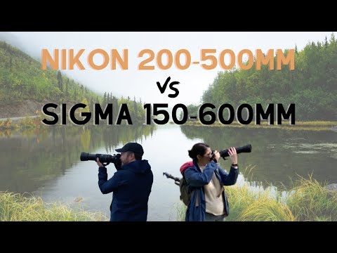 Видео: Сравнение Nikon 200-500mm с Sigma 150-600mm в полевых условиях
