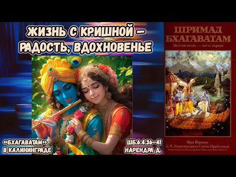 Видео: Жизнь с Кришной — радость, вдохновенье. Нарендра д. ШБ.6.4.36–41