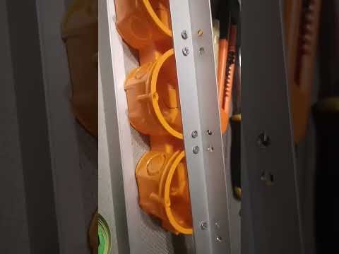 Видео: из ТГ video 2025 10 23 08 11 24