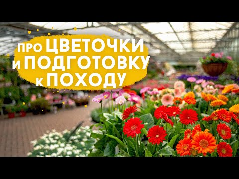 Видео: Еще до переезда - про туристические магазины, цветочки, торф и лесные сады.