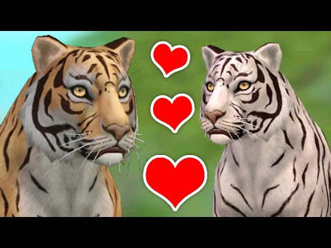 Видео: ТИГР ВЛЮБИЛСЯ в СИМУЛЯТОРЕ ТИГРА в WILDCRAFT