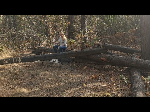 Видео: Археологічна експедиція з донькою.