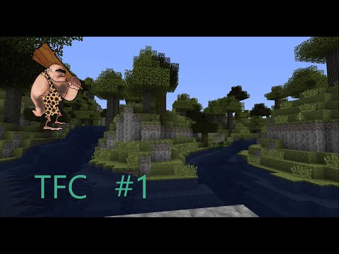 Видео: TFC#1 стрим (СТРИМ ПО МАЙНКРАФТУ)