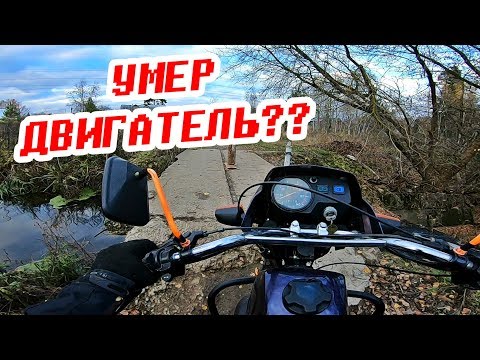 Видео: На совках только умирать / Покатушка на ЗИД Курьер и АЛЬФЕ по лесу