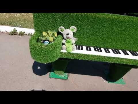 Видео: Новая Заимка , село в Тюменской области