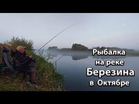 Видео: Осенняя рыбалка на реке Березина.