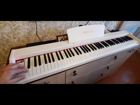 Видео: Цифровое пианино WENCAI BL-280