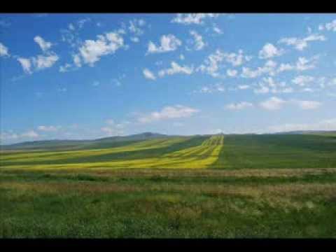 Видео: Н Төмөрхуяг Насны намар
