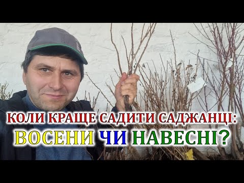 Видео: Коли краще садити саджанці: восени чи навесні?