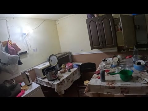 Видео: Губарева, где ЛЕВ🤣ТЫ УНИЖЕНКА
