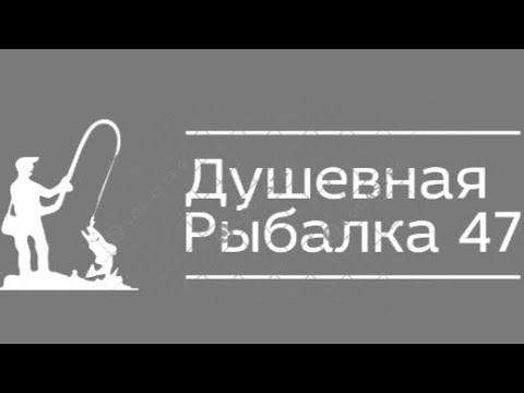 Видео: Рыбачим в Кобоне.