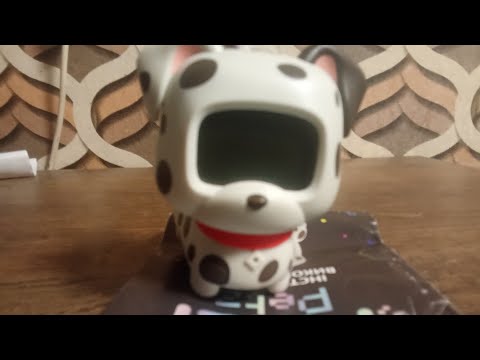 Видео: Анна Шельчук ♥️ - Огляд на собаку РІКСІЛЬ ПЕТС.♥️#anna #voiceeffects #like #собака #нетхейту #рек  .