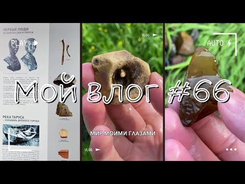 Видео: Время собирать камни. Минералы и окаменелости реки Таруски.