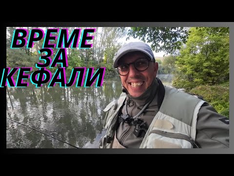 Видео: ВРЕМЕ ЗА КЕФАЛИ