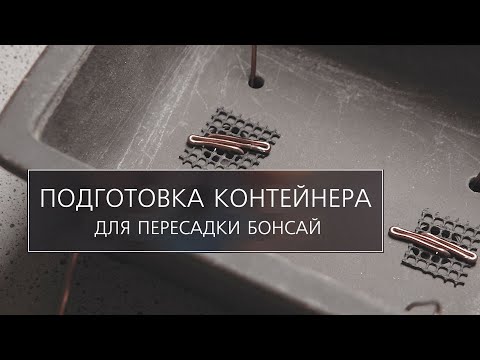 Видео: Подготовка контейнера для пересадки бонсай | Bonsai pot preparation for repotting a tree.