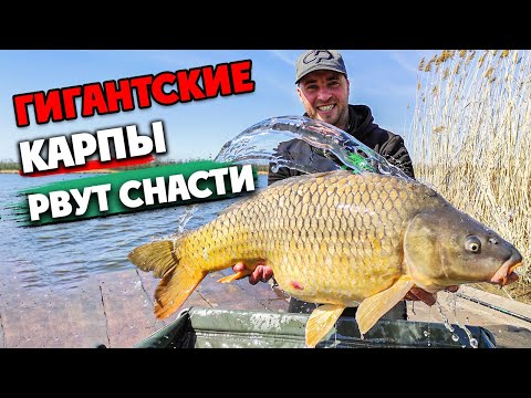 Видео: 😱 Нельзя Отойти, клюют только ПАРОВОЗЫ на Марьевском водохранилище! Карпфишинг VS Флэт Фидер