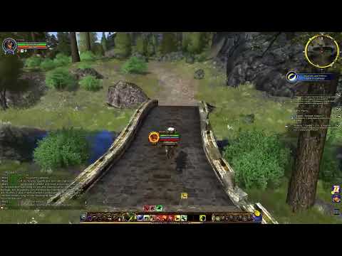 Видео: Lotro_ за медведя 45  часть