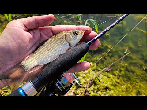Видео: Карась на Удочку и на Искусственного Мотыля - МОРМЫШИНГ Рулит!!!