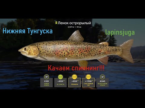 Видео: НОВОЕ!!! Нижняя Тунгуска!!! Фарм на мелкие приманки!!! Невероятный клев