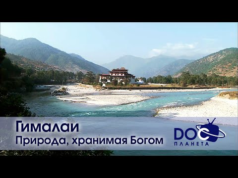 Видео: Гималаи - Фильм 3. Природа, хранимая богом - Документальный фильм