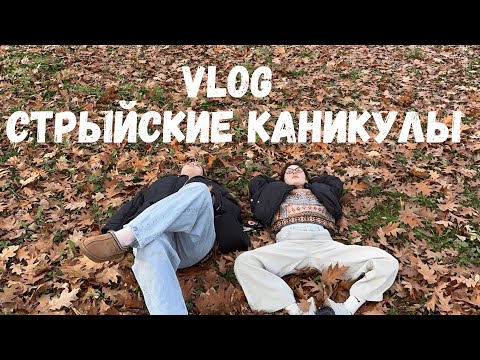 Видео: VLOG | Стрыйские каникулы💕