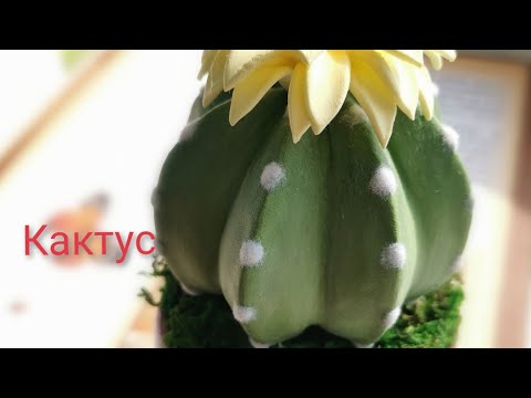 Видео: Кактус из холодного фарфора и полимерной глины