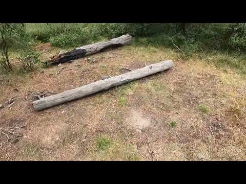 Видео: Горный алтай, 2025. Поход к оз. Крепкое, день второй, продолжение.