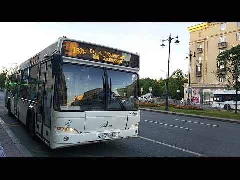Видео: Автобус, маршрут №187а (ул. Костюшко - КВЦ "Экспофорум") МАЗ-103.486 б.8256 (02.06.2021)