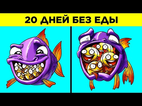Видео: Лучшие Животные-Родители