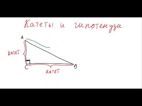 Видео: Катеты и гипотенуза